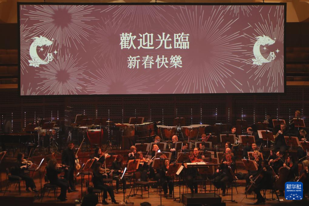 美国旧金山举行中国农历新年音乐会(图1)