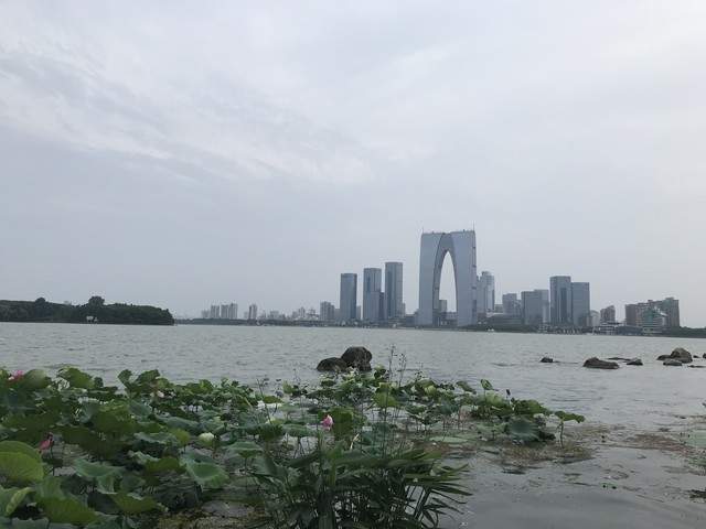如果中国到处都是最聪明的人为什么美国要先进得多?(图1) 如果中国到处都是最聪明的人为什么美国要先进得多?(图1)